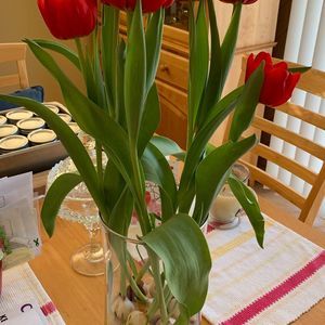 Meet your Posher, Annamarie